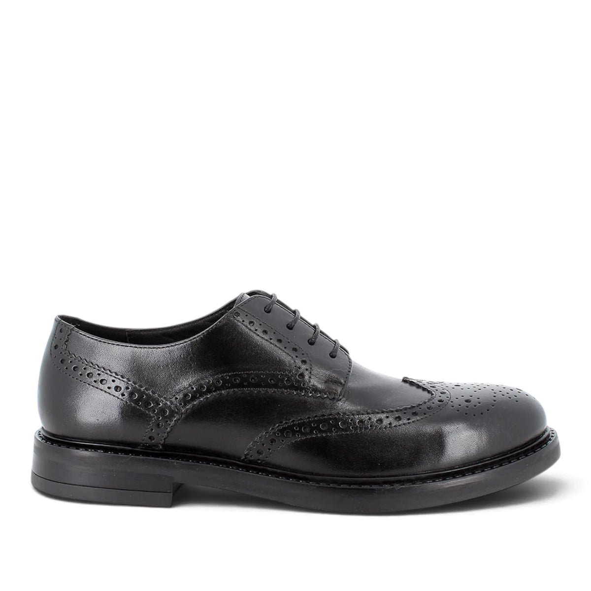 Derby Uomo Igi&co in Pelle Nera con Lavorazione Brogue e Coda di Rondine