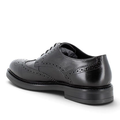 Derby Uomo Igi&co in Pelle Nera con Lavorazione Brogue e Coda di Rondine