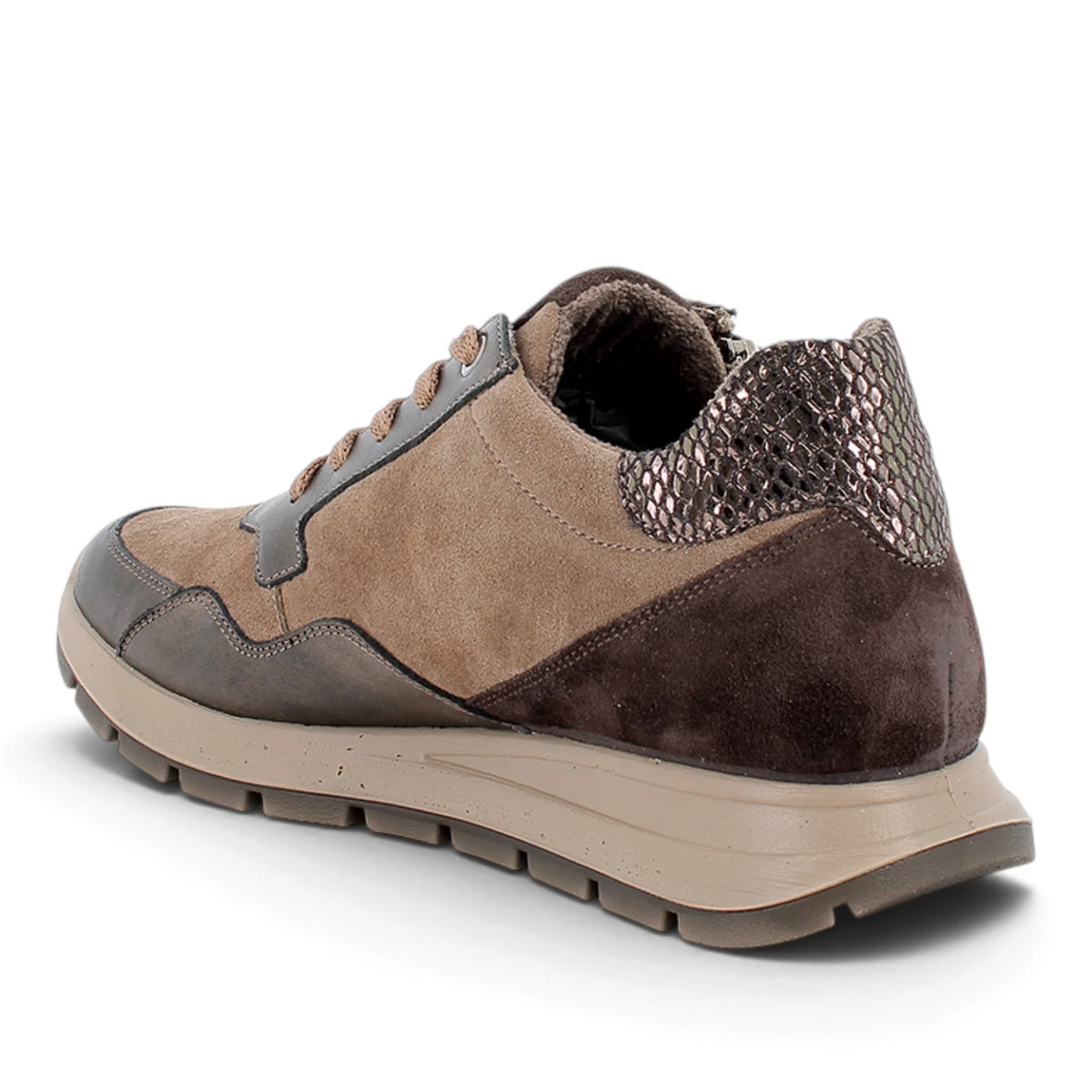 Sneakers Donna IGI&CO in Pelle Fango con dettagli Bronzo con Zip e Rialzo Interno 2 cm