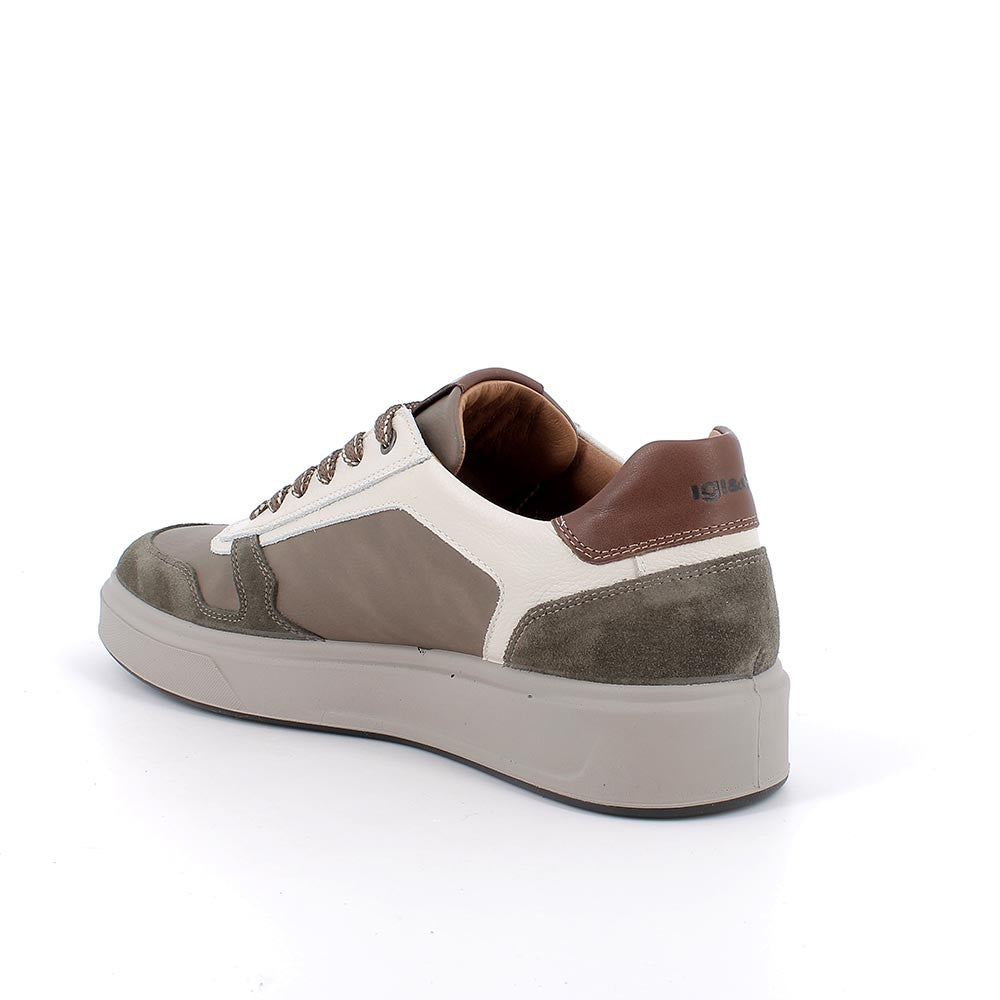 Sneakers Uomo Igi&co in Pelle Caffè riporti in Verde e Avorio