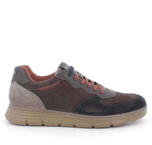 Sneakers Uomo Igi&co in Pelle Marrone riporti in Blu e Fango