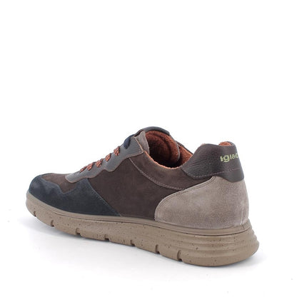 Sneakers Uomo Igi&co in Pelle Marrone riporti in Blu e Fango